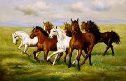 unknow artist Horses 025 oil painting reproduction